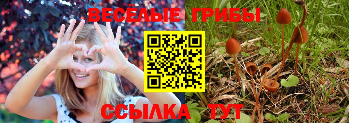 Псилоцибиновые грибы ЛСД  купить   Вход с VPN  Заводоуковск  Псилоцибиновые грибы мухоморы 